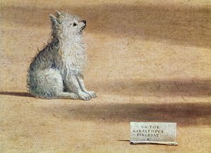 Vision des hl. Augustinus, Detail des Hundes, 1502-08